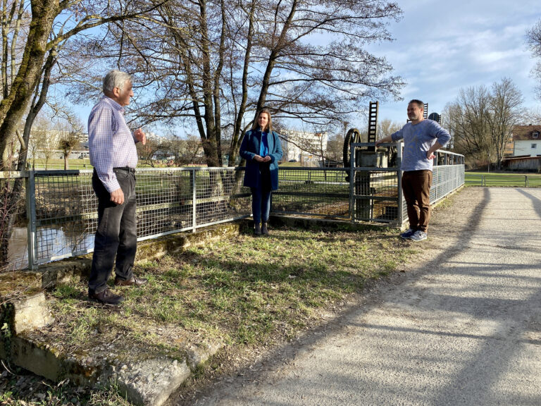 Sorge um den Eisvogel im Stadtbad: Baumbestand erhalten
