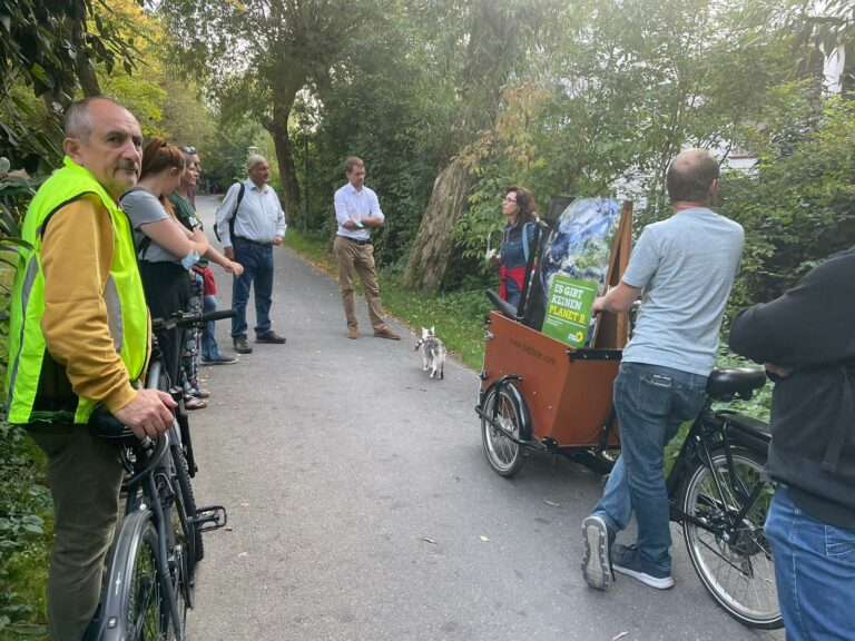 Alte Bäume unbedingt erhalten und so viele neue wie möglich pflanzen