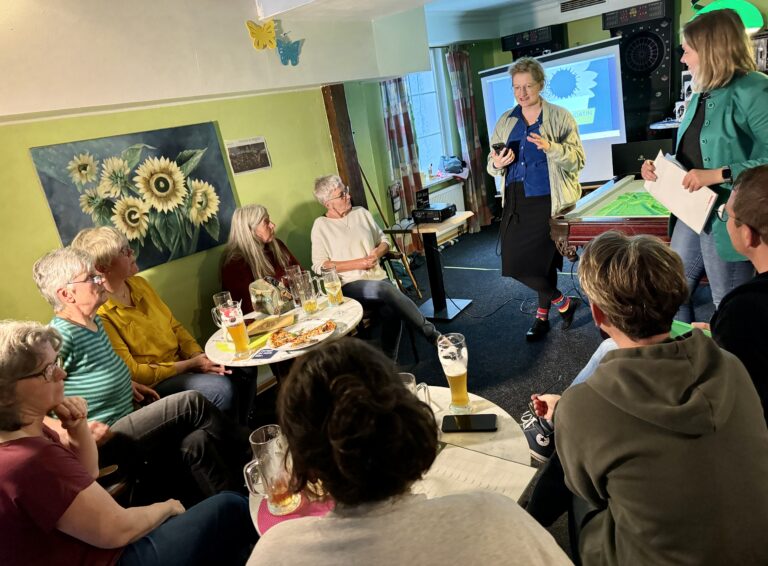 Warum Mickey-Mouse-Parlament?