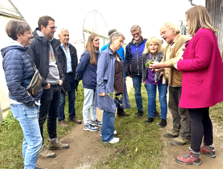 So wächst das Gemüse auf, das es samstags auf dem Markt gibt